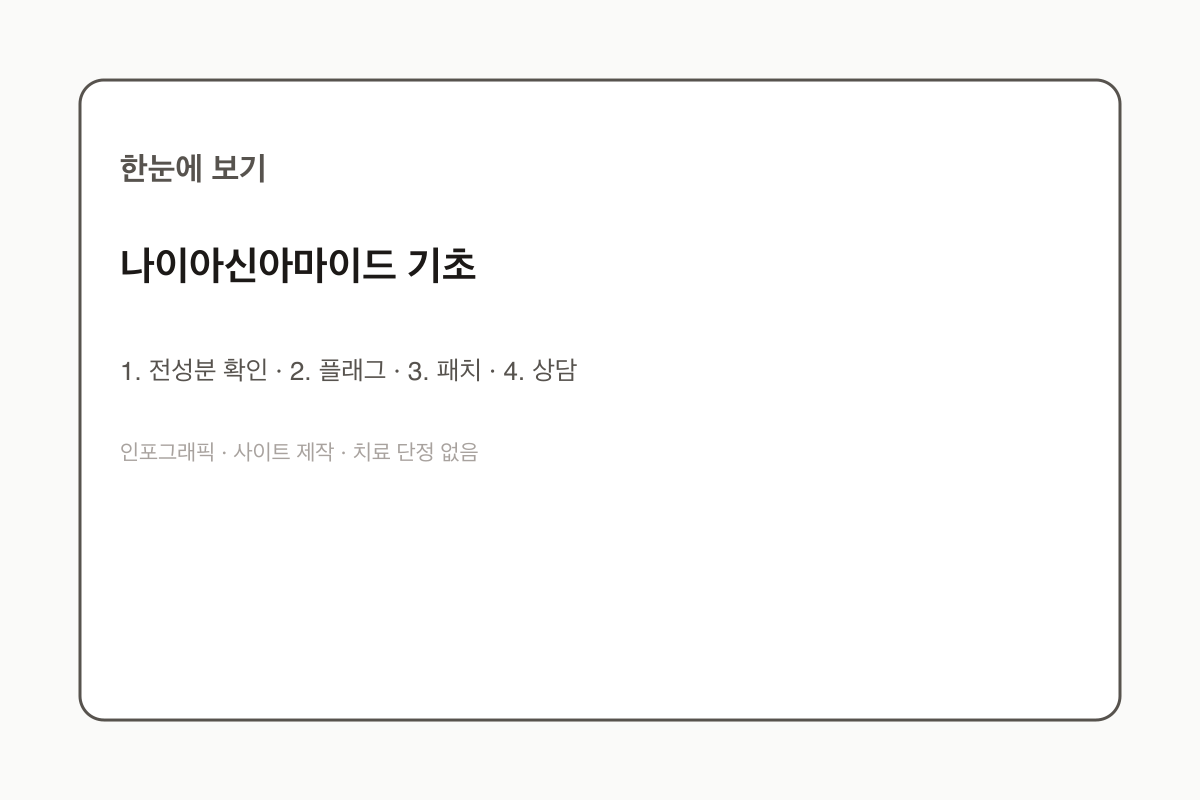 나이아신아마이드 기초 인포그래픽
